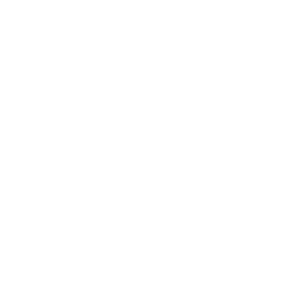 logo_3 (2)